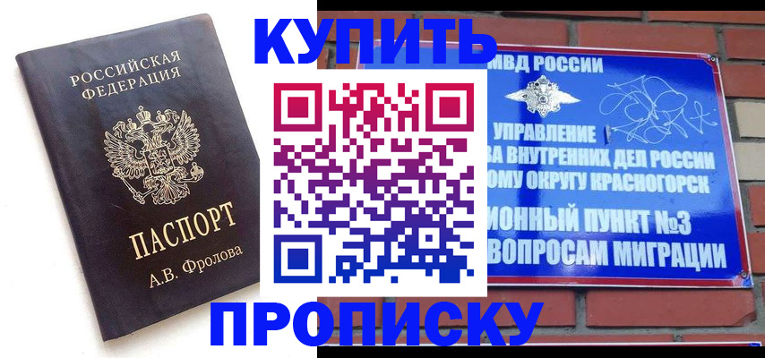 прописка поиск в Мордовии